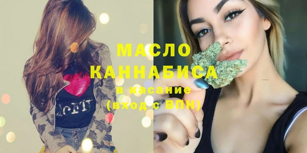 тгк Михайлов