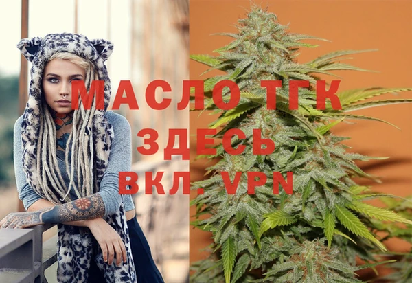 тгк Михайлов