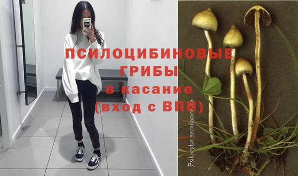 спайс Михайловка