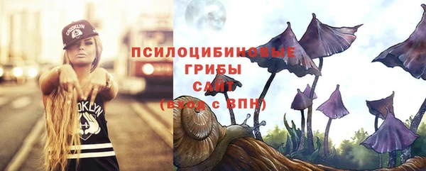 винт Михайловск